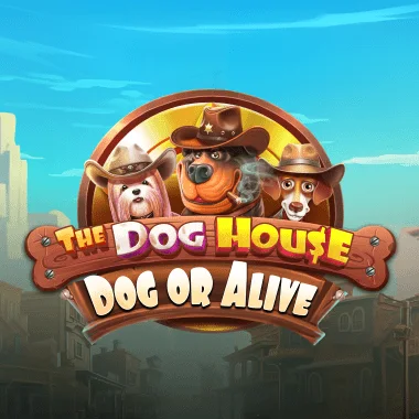 The Dog House - Dog or Alive